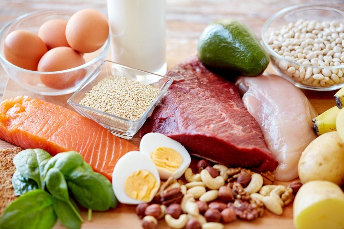 Balanced Nutrition Plate
